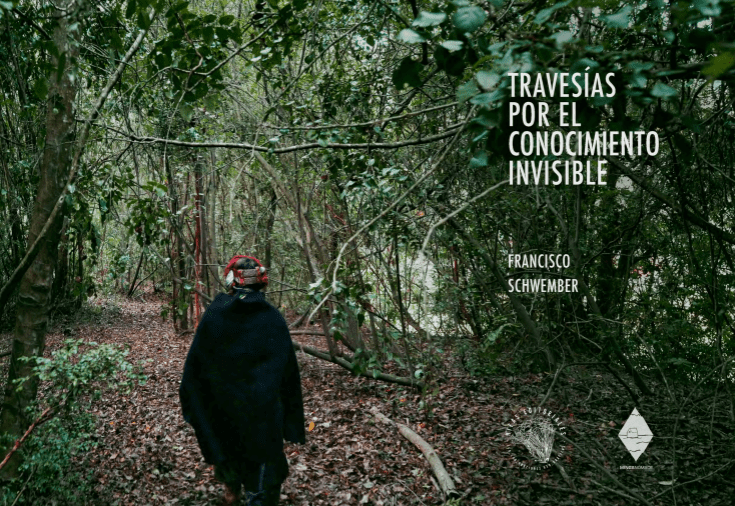 Persona de espaldas vestida de traje tradicional mapuche adentrándose en el bosque