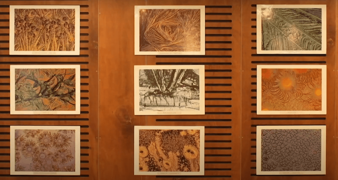 Composición de nueve fotografías realizadas por microscopio a cristales. Se aprecian diferentes colores y formas.