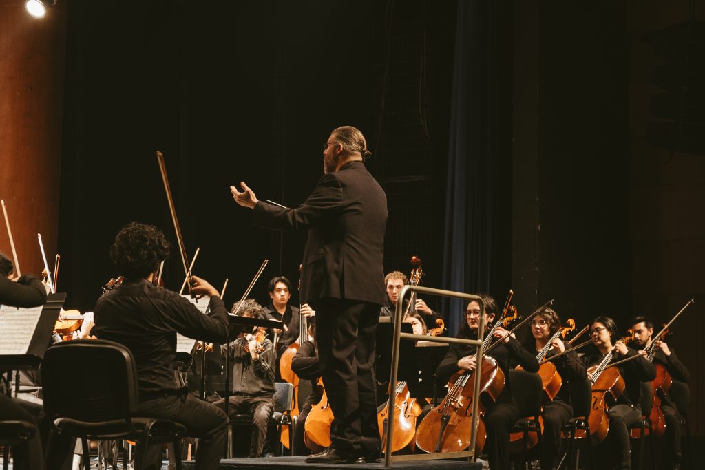 Vista desde el público de una orquesta. Se aprecia al director de espaldas y algunos instrumentos de cuerda.