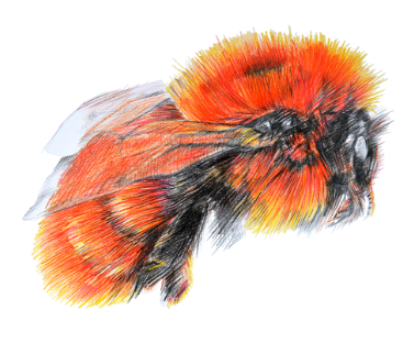 Captura de pantalla 2025-01-13 135618